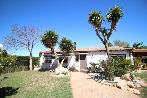 Landejendom i Dolores, Alicante, Dolores - € 525.000 | Ref: 1499 - foto 11