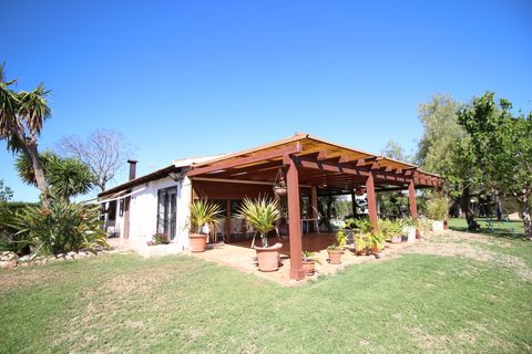 Landejendom i Dolores, Alicante, Dolores - € 525.000 | Ref: 1499 - foto 12