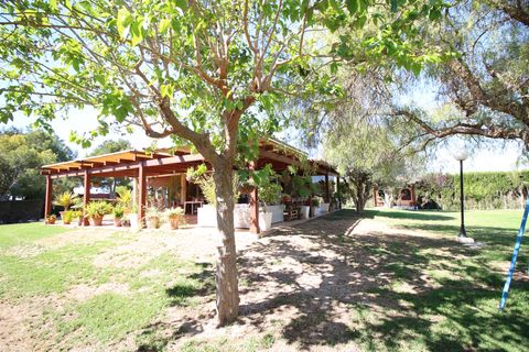 Landejendom i Dolores, Alicante, Dolores - € 525.000 | Ref: 1499 - foto 14