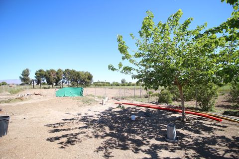 Landejendom i Dolores, Alicante, Dolores - € 525.000 | Ref: 1499 - foto 50