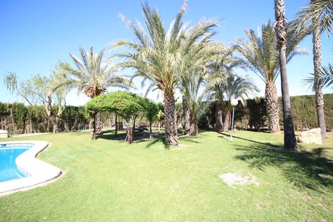 Landejendom i Dolores, Alicante, Dolores - € 525.000 | Ref: 1499 - foto 17