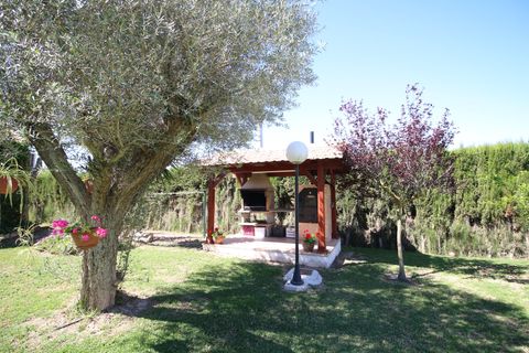 Landejendom i Dolores, Alicante, Dolores - € 525.000 | Ref: 1499 - foto 18