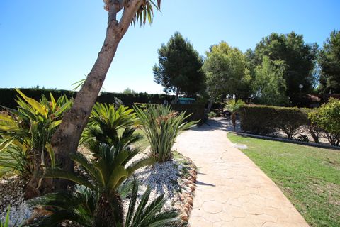 Landejendom i Dolores, Alicante, Dolores - € 525.000 | Ref: 1499 - foto 25