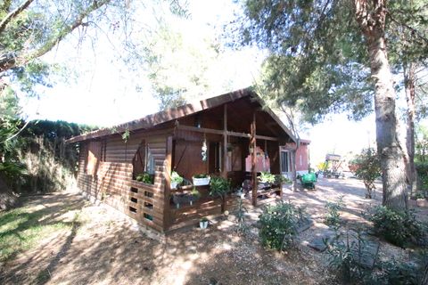 Landejendom i Dolores, Alicante, Dolores - € 525.000 | Ref: 1499 - foto 43