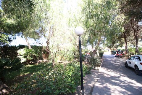 Landejendom i Dolores, Alicante, Dolores - € 525.000 | Ref: 1499 - foto 46