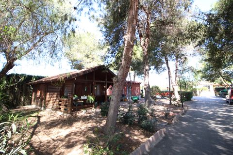 Landejendom i Dolores, Alicante, Dolores - € 525.000 | Ref: 1499 - foto 48