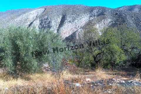Landejendom i Arboleas, Almeria, Arboleas - € 36.000 | Ref: 11766 - foto 32