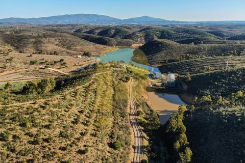 Landejendom i Bensafrim, Faro, Bensafrim - € 6.900.000 | Ref: PB2022228 - foto 6