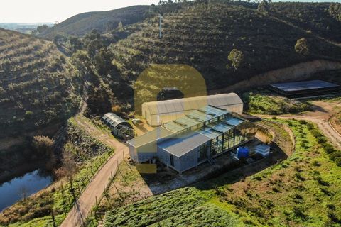 Landejendom i Bensafrim, Faro, Bensafrim - € 6.900.000 | Ref: PB2022228 - foto 8