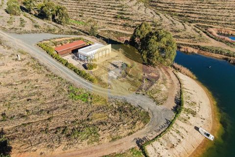 Landejendom i Bensafrim, Faro, Bensafrim - € 6.900.000 | Ref: PB2022228 - foto 10