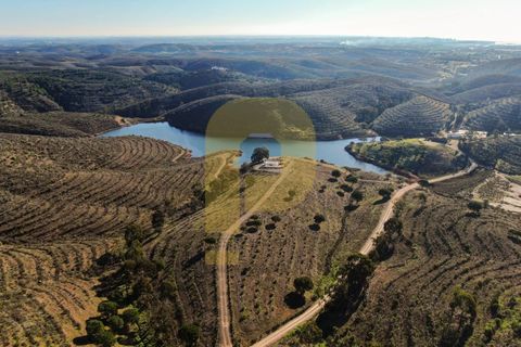 Landejendom i Bensafrim, Faro, Bensafrim - € 6.900.000 | Ref: PB2022228 - foto 13