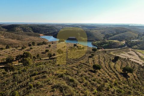 Landejendom i Bensafrim, Faro, Bensafrim - € 6.900.000 | Ref: PB2022228 - foto 14