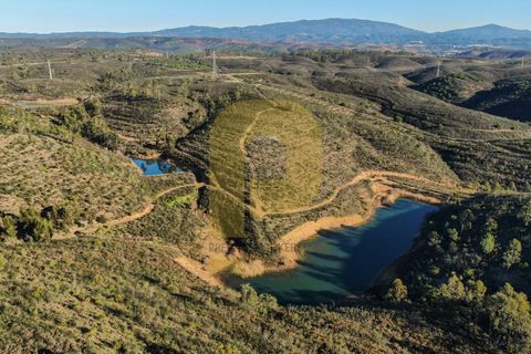 Landejendom i Bensafrim, Faro, Bensafrim - € 6.900.000 | Ref: PB2022228 - foto 17