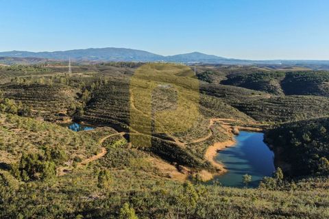 Landejendom i Bensafrim, Faro, Bensafrim - € 6.900.000 | Ref: PB2022228 - foto 18