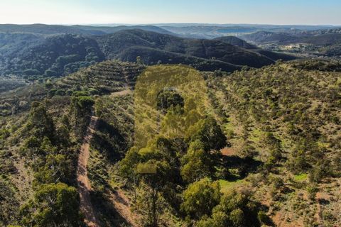 Landejendom i Bensafrim, Faro, Bensafrim - € 6.900.000 | Ref: PB2022228 - foto 21