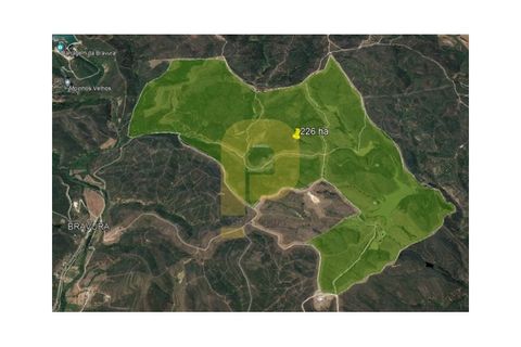 Landejendom i Bensafrim, Faro, Bensafrim - € 6.900.000 | Ref: PB2022228 - foto 29