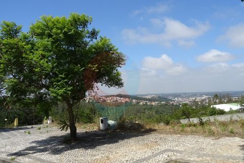 Helårsgrund i Pombal, Leiria, Pombal - € 55.000 | Ref: SÒL_09V_MV - foto 6