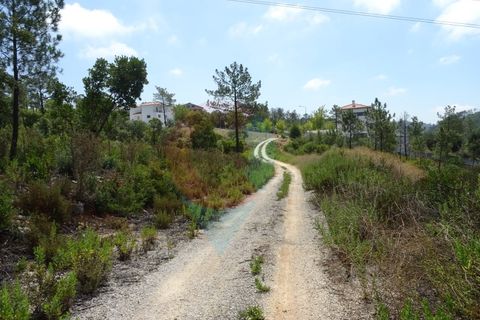 Helårsgrund i Pombal, Leiria, Pombal - € 55.000 | Ref: SÒL_09V_MV - foto 7