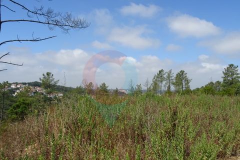 Helårsgrund i Pombal, Leiria, Pombal - € 55.000 | Ref: SÒL_09V_MV - foto 8