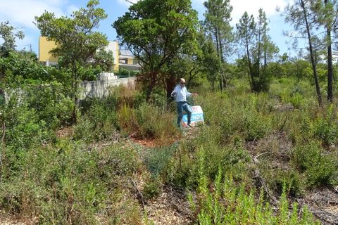Helårsgrund i Pombal, Leiria, Pombal - € 55.000 | Ref: SÒL_09V_MV - foto 9