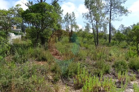 Helårsgrund i Pombal, Leiria, Pombal - € 55.000 | Ref: SÒL_09V_MV - foto 1
