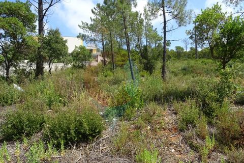 Helårsgrund i Pombal, Leiria, Pombal - € 55.000 | Ref: SÒL_09V_MV - foto 11