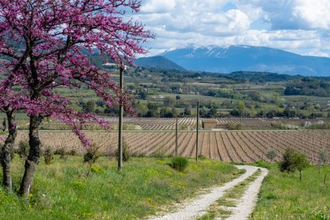 Farm hus i Nyons, Drome, Nyons - € 945.000 | Ref: 2666 - foto 6