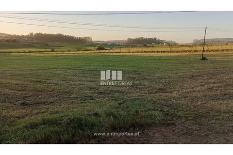 Helårsgrund i Vila do Conde, Porto, Vila do Conde - € 150.000 | Ref: VC04623 - foto 1