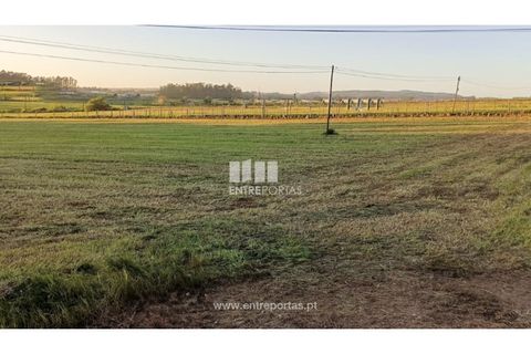 Helårsgrund i Vila do Conde, Porto, Vila do Conde - € 150.000 | Ref: VC04623 - foto 3