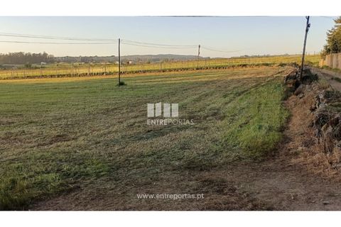Helårsgrund i Vila do Conde, Porto, Vila do Conde - € 150.000 | Ref: VC04623 - foto 4