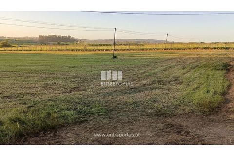 Helårsgrund i Vila do Conde, Porto, Vila do Conde - € 150.000 | Ref: VC04623 - foto 5