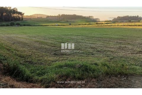 Helårsgrund i Vila do Conde, Porto, Vila do Conde - € 150.000 | Ref: VC04623 - foto 6