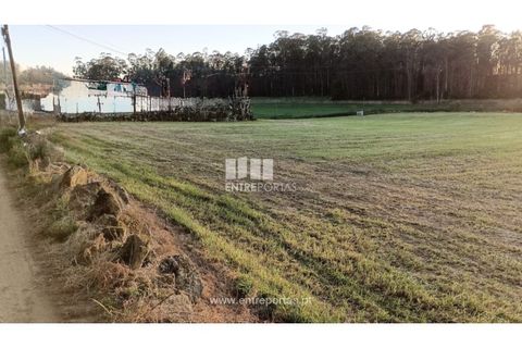 Helårsgrund i Vila do Conde, Porto, Vila do Conde - € 150.000 | Ref: VC04623 - foto 7