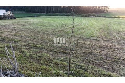 Helårsgrund i Vila do Conde, Porto, Vila do Conde - € 150.000 | Ref: VC04623 - foto 8