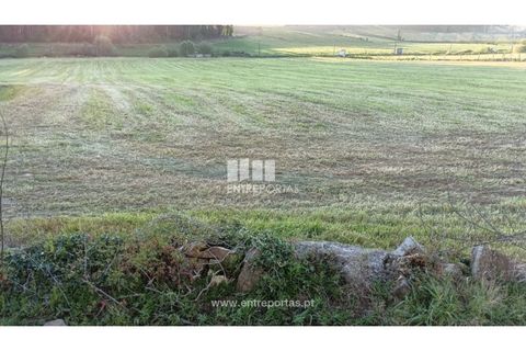 Helårsgrund i Vila do Conde, Porto, Vila do Conde - € 150.000 | Ref: VC04623 - foto 9