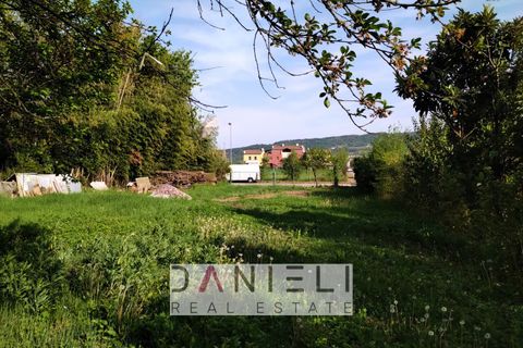 Terra a Montecchio Maggiore, Vicenza, Montecchio Maggiore - € 150.000 | Ref: V117 - foto 2