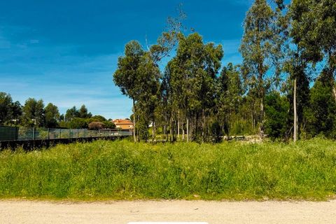Helårsgrund i Cortegaca, Aveiro, Cortegaca - € 580.000 | Ref: TER_95 - foto 4