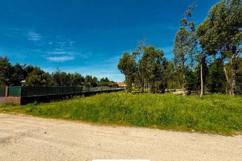 Helårsgrund i Cortegaca, Aveiro, Cortegaca - € 580.000 | Ref: TER_95 - foto 5