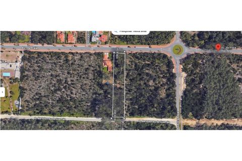 Helårsgrund i Cortegaca, Aveiro, Cortegaca - € 580.000 | Ref: TER_95 - foto 7
