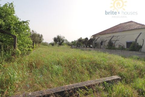 Helårsgrund i Tomar, Santarem, Tomar - € 65.000 | Ref: Tr108 - foto 2