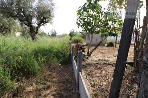 Helårsgrund i Tomar, Santarem, Tomar - € 65.000 | Ref: Tr108 - foto 3