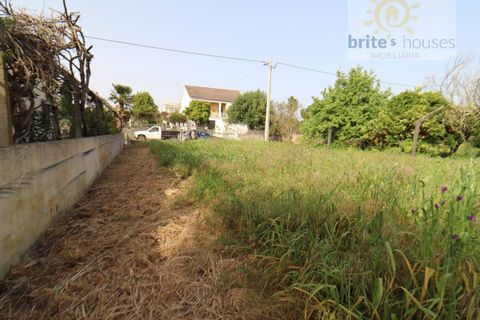 Helårsgrund i Tomar, Santarem, Tomar - € 65.000 | Ref: Tr108 - foto 5