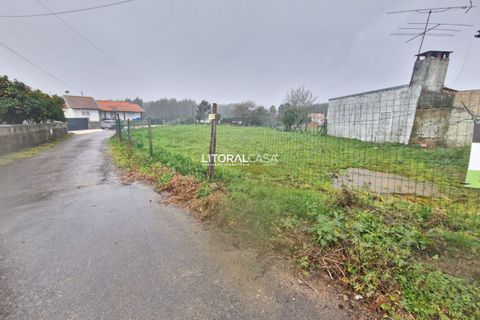 Helårsgrund i Agueda, Aveiro, Agueda - € 52.500 | Ref: VEN-3843 - foto 5