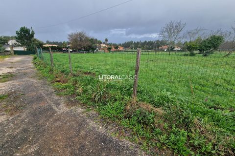 Helårsgrund i Agueda, Aveiro, Agueda - € 52.500 | Ref: VEN-3843 - foto 6