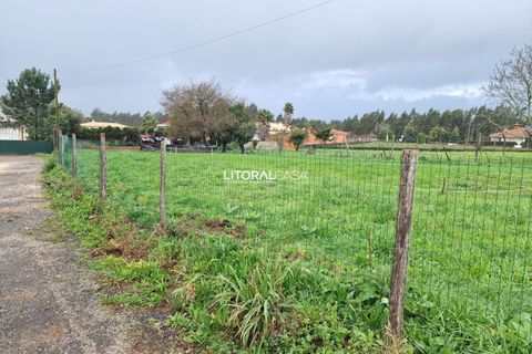 Helårsgrund i Agueda, Aveiro, Agueda - € 52.500 | Ref: VEN-3843 - foto 7