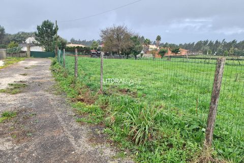 Helårsgrund i Agueda, Aveiro, Agueda - € 52.500 | Ref: VEN-3843 - foto 8