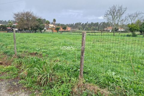 Helårsgrund i Agueda, Aveiro, Agueda - € 52.500 | Ref: VEN-3843 - foto 9