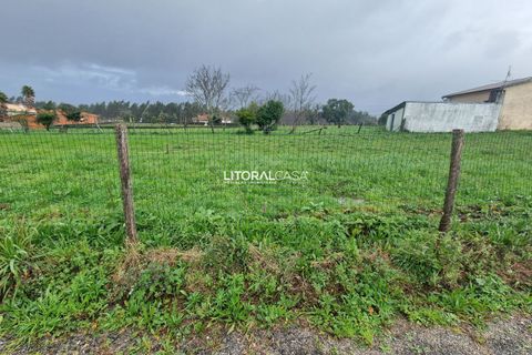 Helårsgrund i Agueda, Aveiro, Agueda - € 52.500 | Ref: VEN-3843 - foto 10