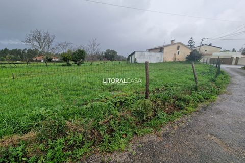Helårsgrund i Agueda, Aveiro, Agueda - € 52.500 | Ref: VEN-3843 - foto 11