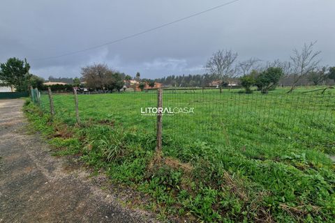 Helårsgrund i Agueda, Aveiro, Agueda - € 52.500 | Ref: VEN-3843 - foto 12